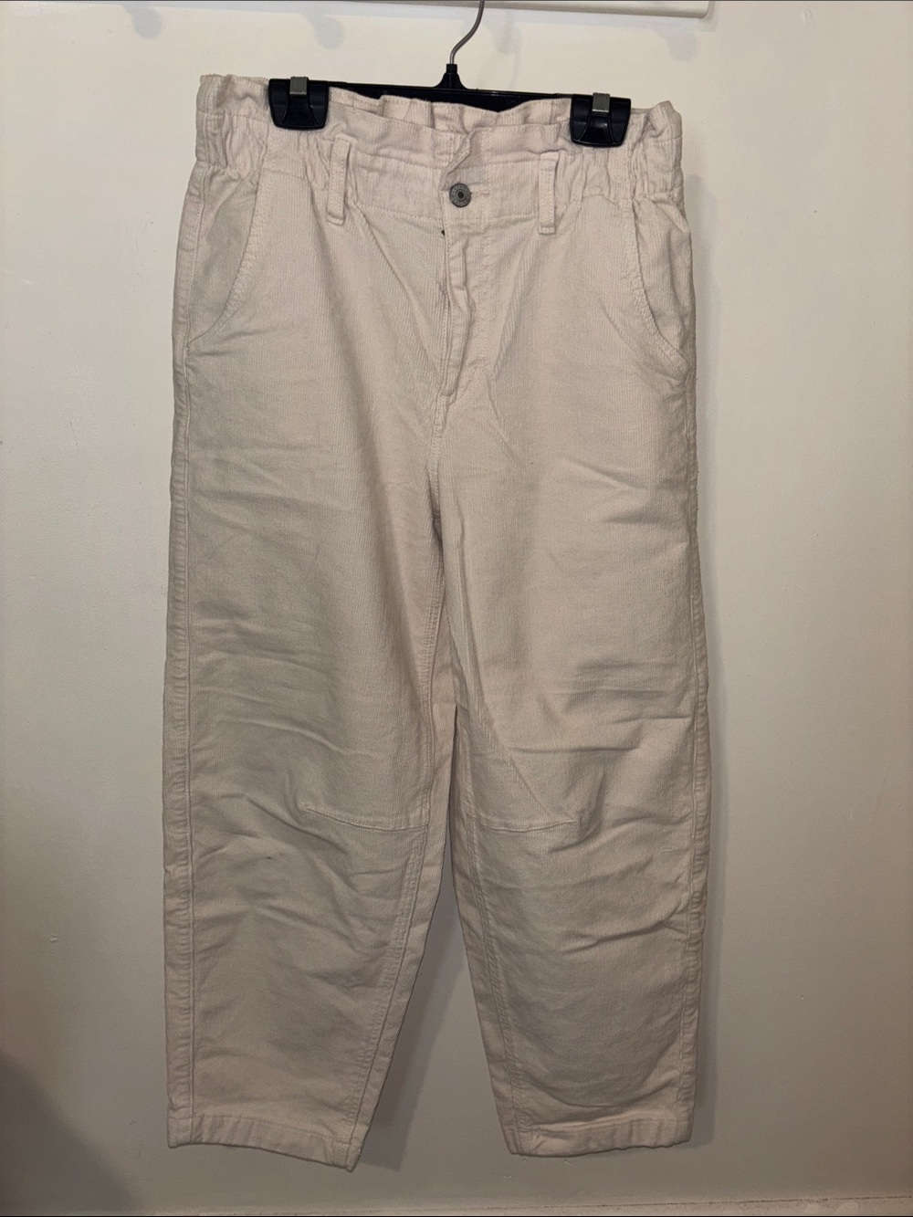 AE Barrel Leg Corduroy Pants